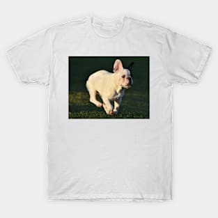 French bulldog T-Shirt